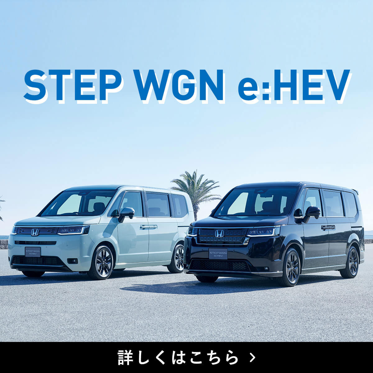 STEP WGN